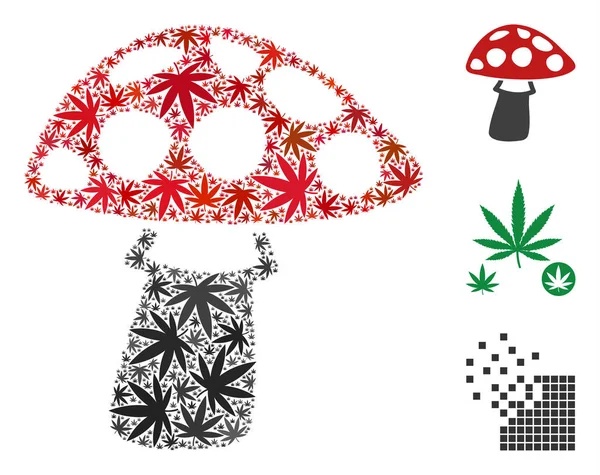 Esrar mantar kompozisyon