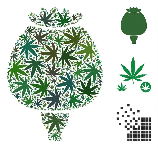 Опиумный маковый коллаж марихуаны — стоковый вектор