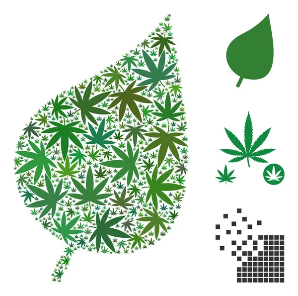 Çeşitli ebat ve renk tonlarını kenevir yaprak yaprak kolaj bitki. Vektör düz Gence yaprakları bitki yaprak kolaj düzenlenir. Uyuşturucu vektör tasarım konsepti.