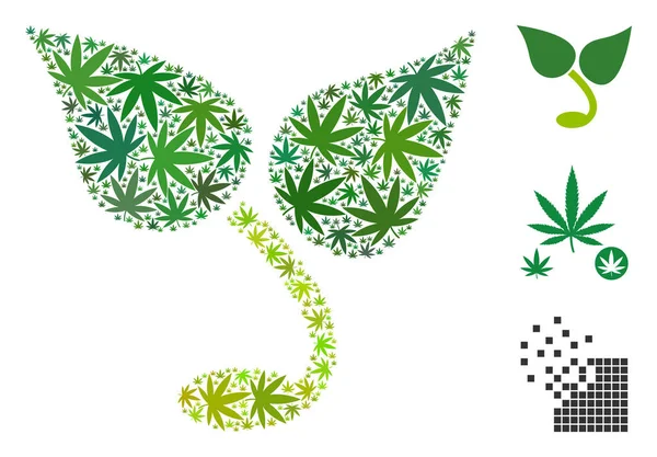 Esrar mozaiği filiz