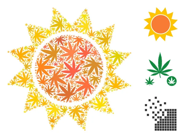 Güneş kompozisyon otu yaprakları