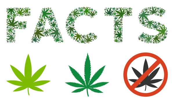 Hechos Etiqueta Mosaico de Marihuana — Vector de stock