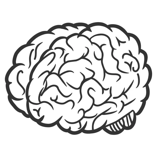 Icono del vector cerebral — Vector de stock