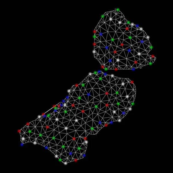 Carcasa de malla brillante Mapa de la provincia de Flevoland con puntos de luz — Vector de stock