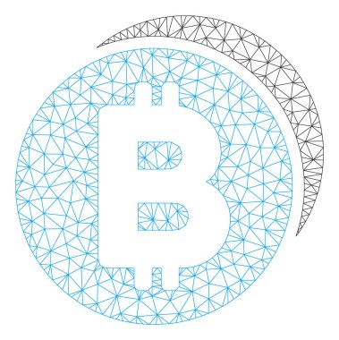 Bitcoin Coins Vektör Örgü Karkas Modeli