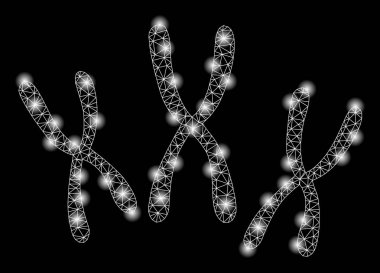 Altın Kare Desen Kromozomlar