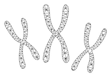 Kromozomlar Çokgen Çerçeve Vektör Örgü İllüstrasyon