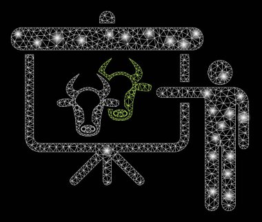 Işık Lekeleri ile Parlayan Örgü Tel Çerçeve Sığır Kamu Raporu