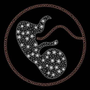 Işık Lekeleri ile Parlak Örgü Karkas Gebelik