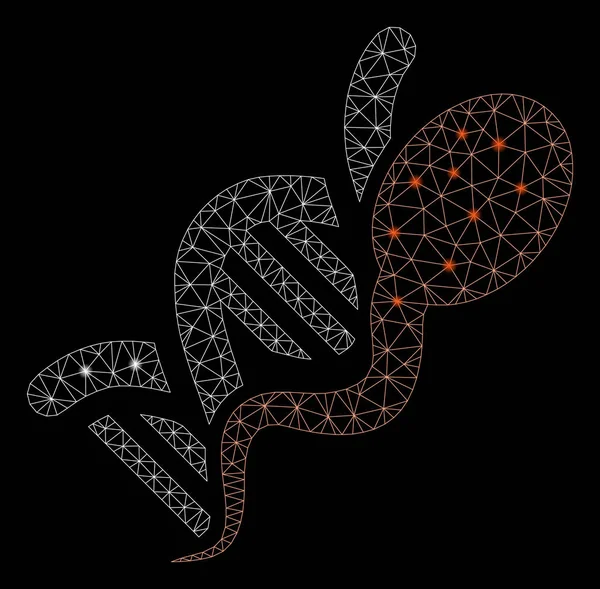 Flare Spotlu Flare Mesh Ağ Sperm Genomu