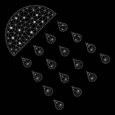 Parlama Noktalar ile Parlak Örgü Ağ Sprey Akışı