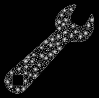 Flaş Noktalı Parlak Ağlı Karkas Anahtarı