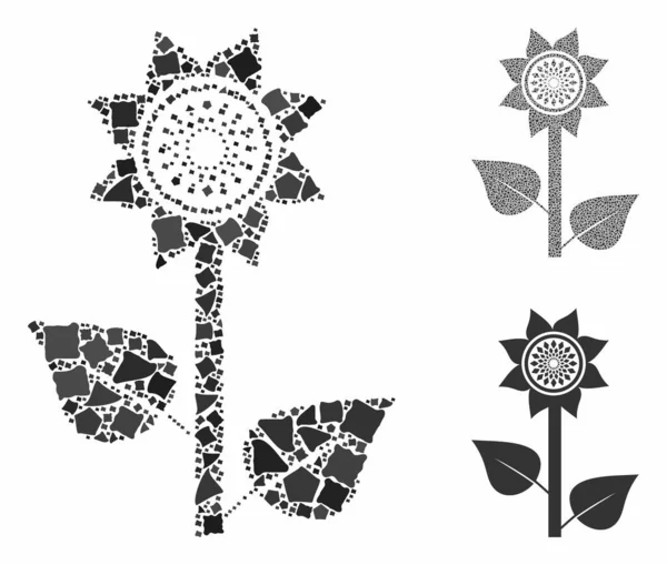 Sonnenblumenpflanzenmosaik aus abrupten Stücken — Stockvektor