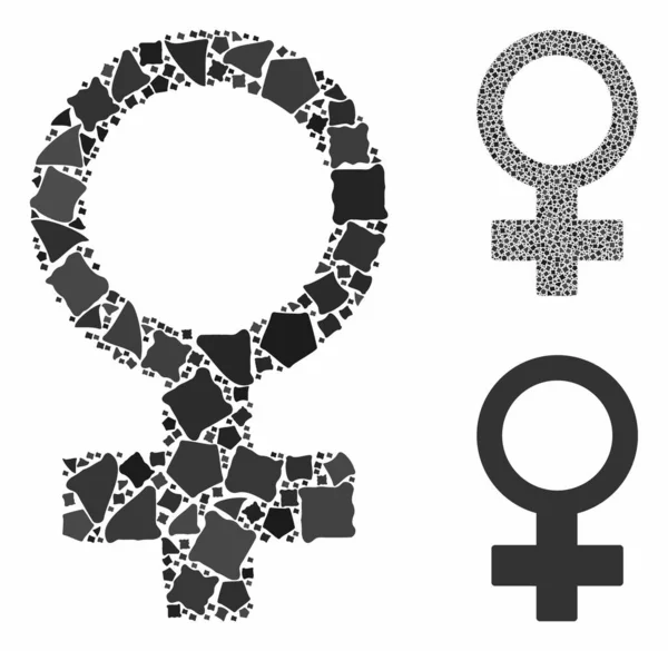 ラフアイテムの女性シンボルモザイクアイコン — ストックベクタ