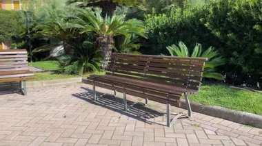 Park yerinde tezgah ve doğa. Egzotik bitkiler. İtalya, Liguria 'da turizm ve eğlence. Avuçlar ve sulular. Yüksek kalite 4k görüntü