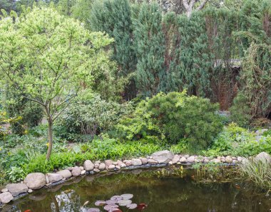 Göletli küçük bir bahçe. Güzel peyzaj tasarımı.