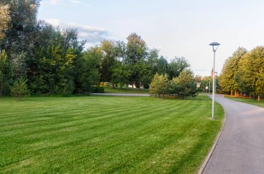 büyük ağaçlar ile yeşil bir çim 