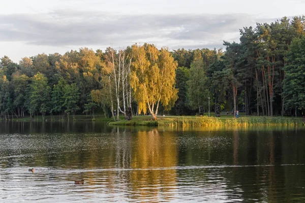 Um parque florestal com grande lago e árvores na costa . — Fotografia de Stock