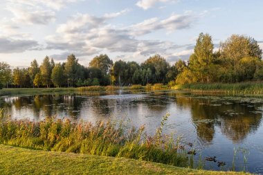 büyük göl ve kıyıda ağaçlar ile bir orman parkı.