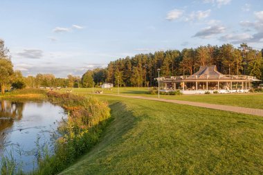 büyük ağaçlar ile bir orman parkı 