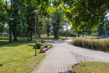 büyük ağaçlar ile bir orman parkı 