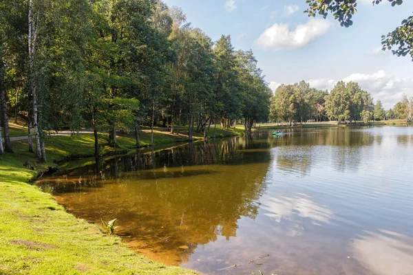 Um parque florestal com grandes árvores — Fotografia de Stock