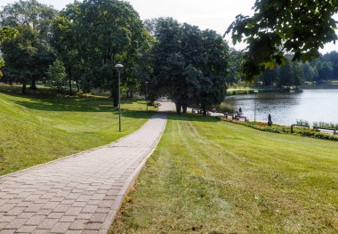 büyük ağaçlar ve yaratıcı banklar ve kemerler ile bir orman parkı. 