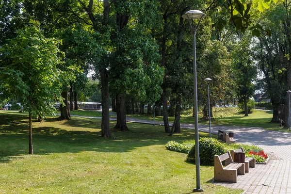 Un parque forestal con árboles grandes —  Fotos de Stock