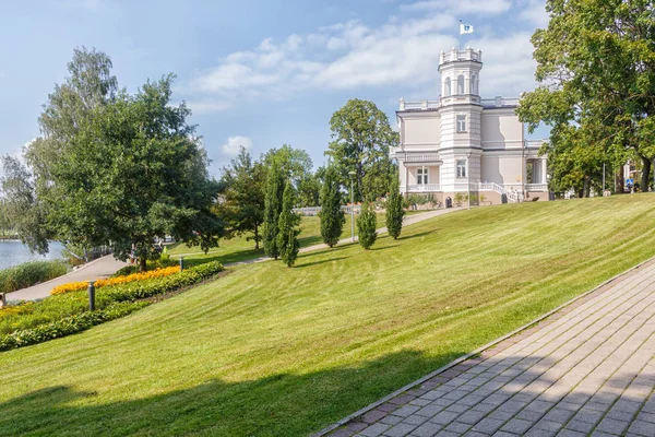 Лесной парк с большими деревьями — стоковое фото