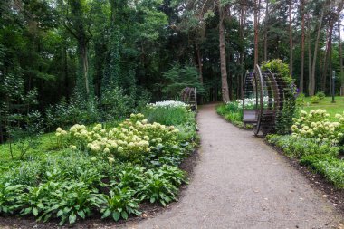 büyük ağaçlar ve yaratıcı banklar ve kemerler ile bir orman parkı. 