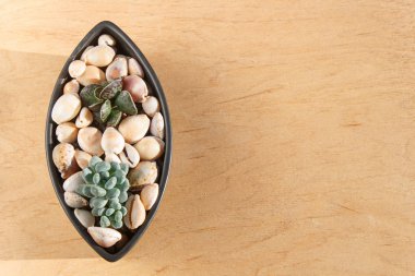 seramik bir tencerede küçük sulu