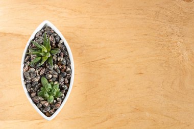 seramik bir tencerede küçük sulu