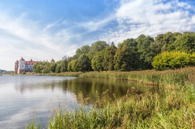 yeşil çimenler ve büyük ağaçlar ile eski park.