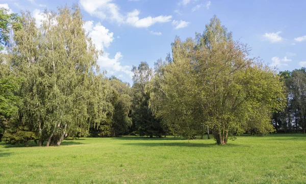 Παλιό πάρκο με πράσινα γρασίδι και μεγάλα δέντρα. — Φωτογραφία Αρχείου