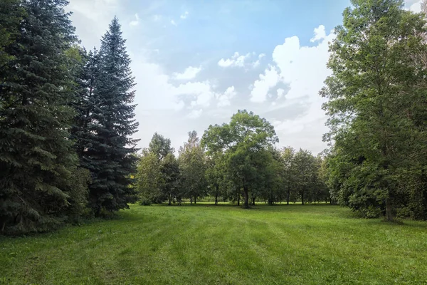 Starý Park se zelenými trávníky a velkými stromy. — Stock fotografie