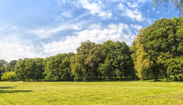 Yeşil çimenler ve büyük ağaçlar ile eski park. — Stok fotoğraf