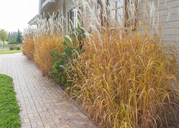 kiremit kaldırım ve peyzaj tasarımı ile modern restoran