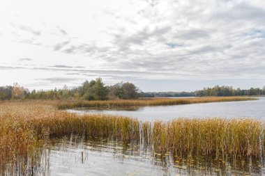 sonbaharda çim ile güzel göl