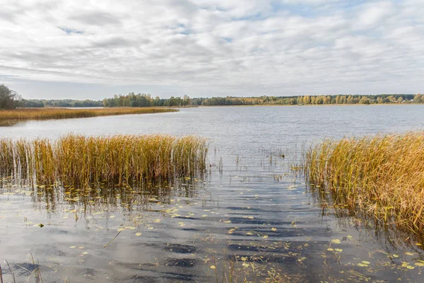 Belo lago com grama no outono — Fotografia de Stock