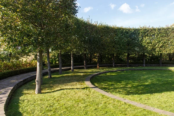 Cottage garden with green lawn, trees and trimmed bushes. — Stock Photo, Image