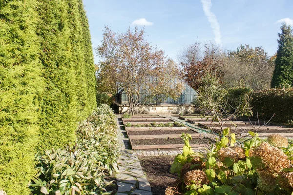 Cottage garden with green lawn, trees and trimmed bushes. — Stock Photo, Image