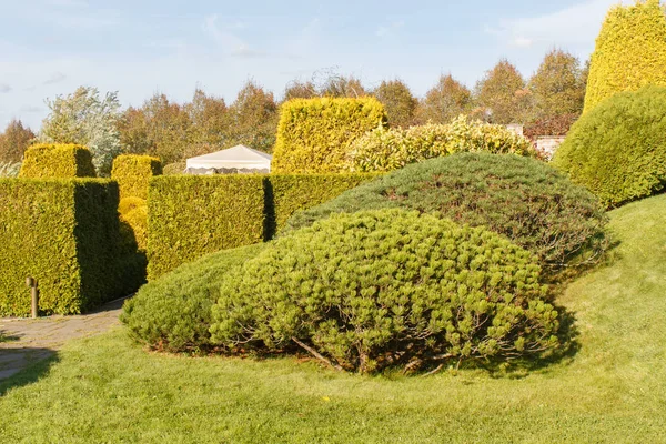 Cottage jardín con césped verde, árboles y arbustos recortados . — Foto de Stock