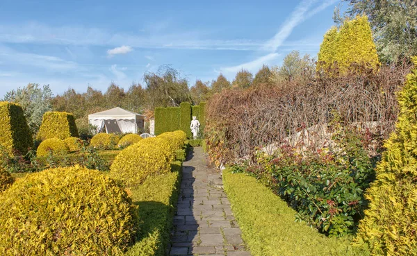 Cottage garden with vines, trees and trimmed bushes.