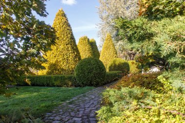 Topiary ve kesilmiş çalılar ile Yazlık bahçe. 