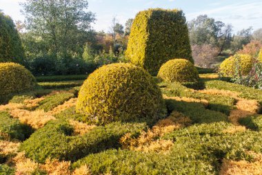 Topiary ve kesilmiş çalılar ile Yazlık bahçe. 