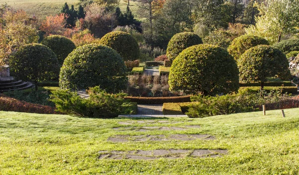 Cottage garden with green lawn, topiary oak trees and trimmed bu