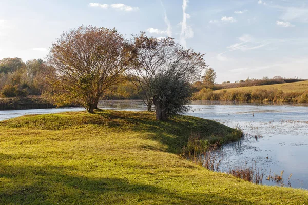 trees by the river in the evening sun in autumn