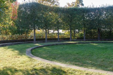 Yeşil çimler, ağaçlar ve kesilmiş çalılar ile Park. 