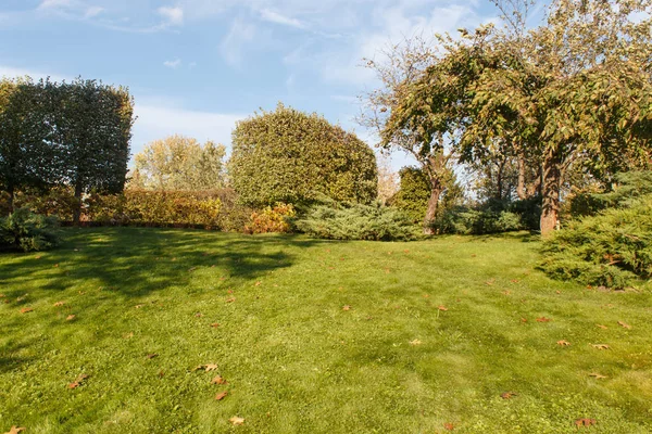 Cottage jardín con césped verde, árboles y arbustos recortados . — Foto de Stock