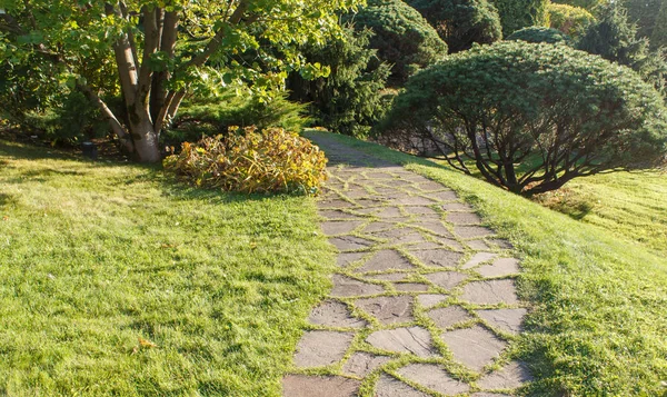 Yeşil çim, ağaçlar ve kesilmiş çalılar ile Yazlık bahçe. 
